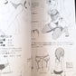 How To Draw Moe Lolita Fashion, From basic body to costume
