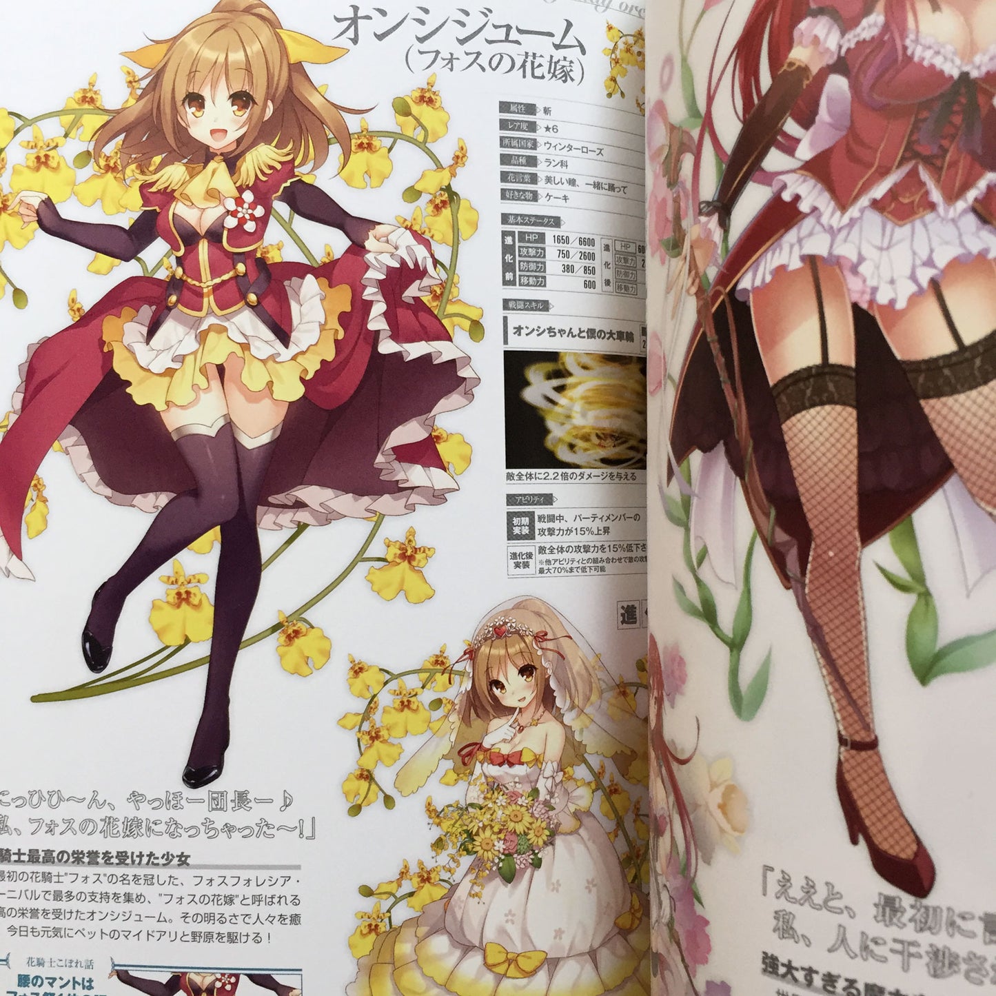 FLOWER KNIGHT GIRL Character Collection Book