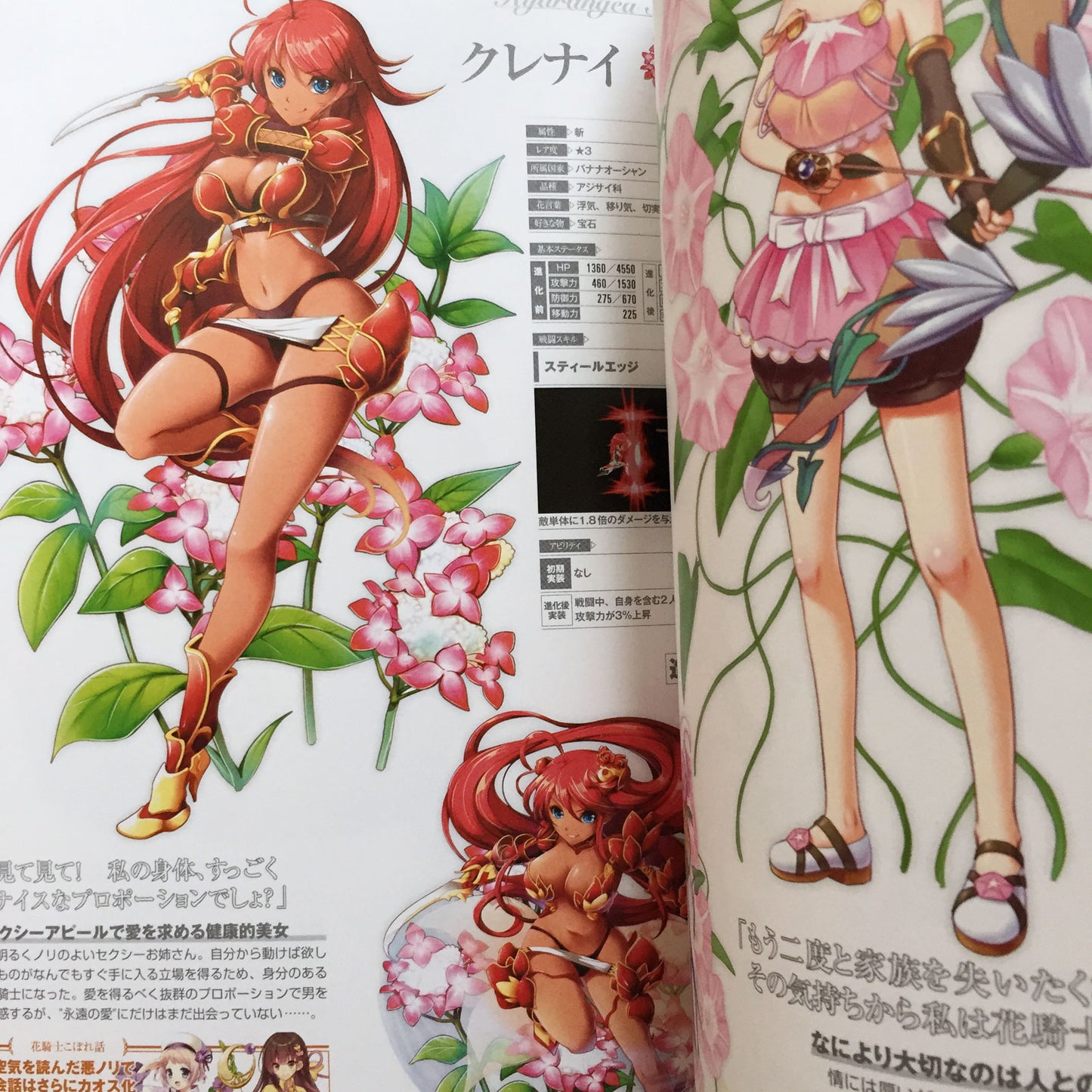 FLOWER KNIGHT GIRL Character Collection Book