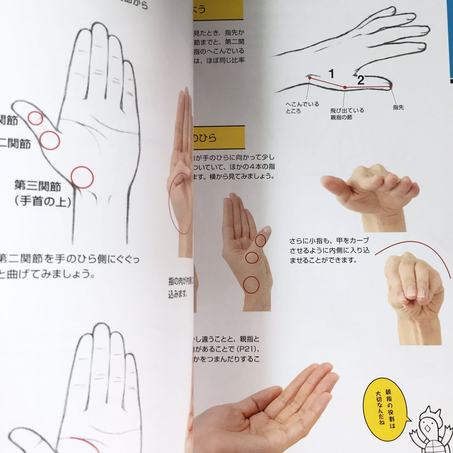 Hwo To Draw Hands and Feet Master Guide