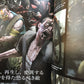 BIOHAZARD 6 (Resident Evil) Graphical Guide
