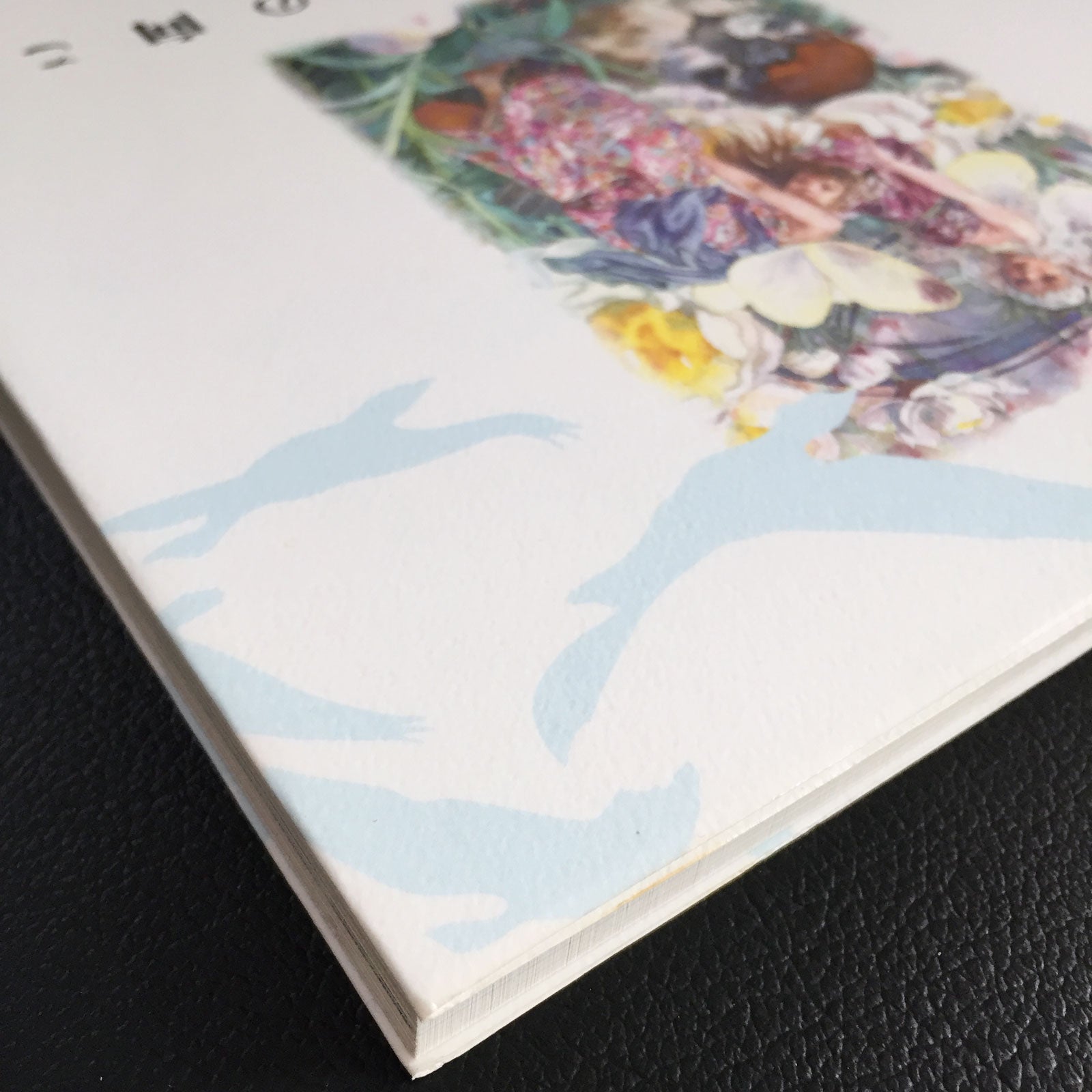 Miyako Hasumi Illustrations – MOYASHI JAPAN BOOKS