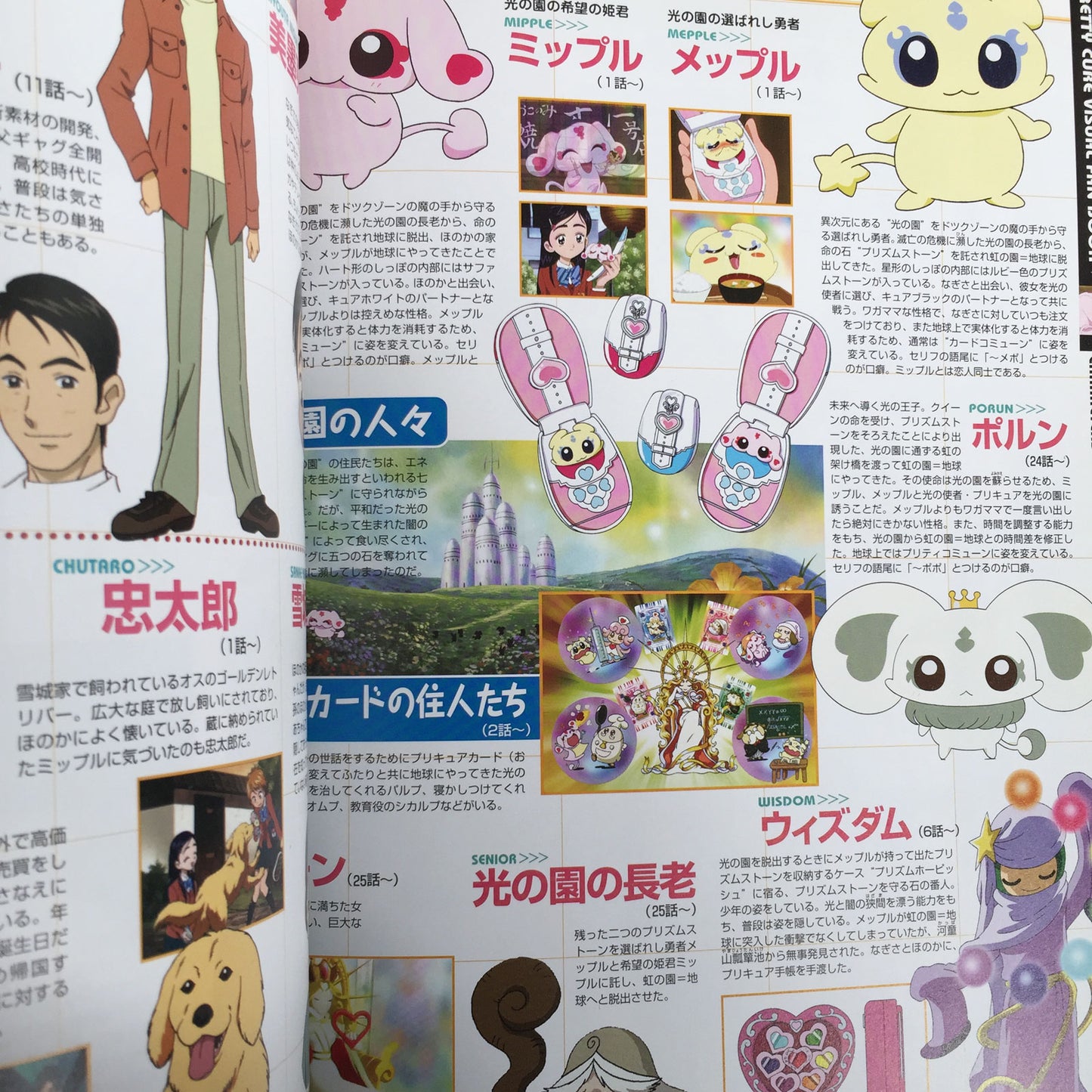 Pretty Cure (PreCure) Visual Fan Book