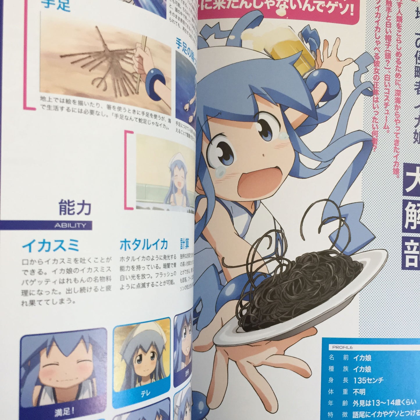 Shinryaku! Ika Musume Animation Guide Book