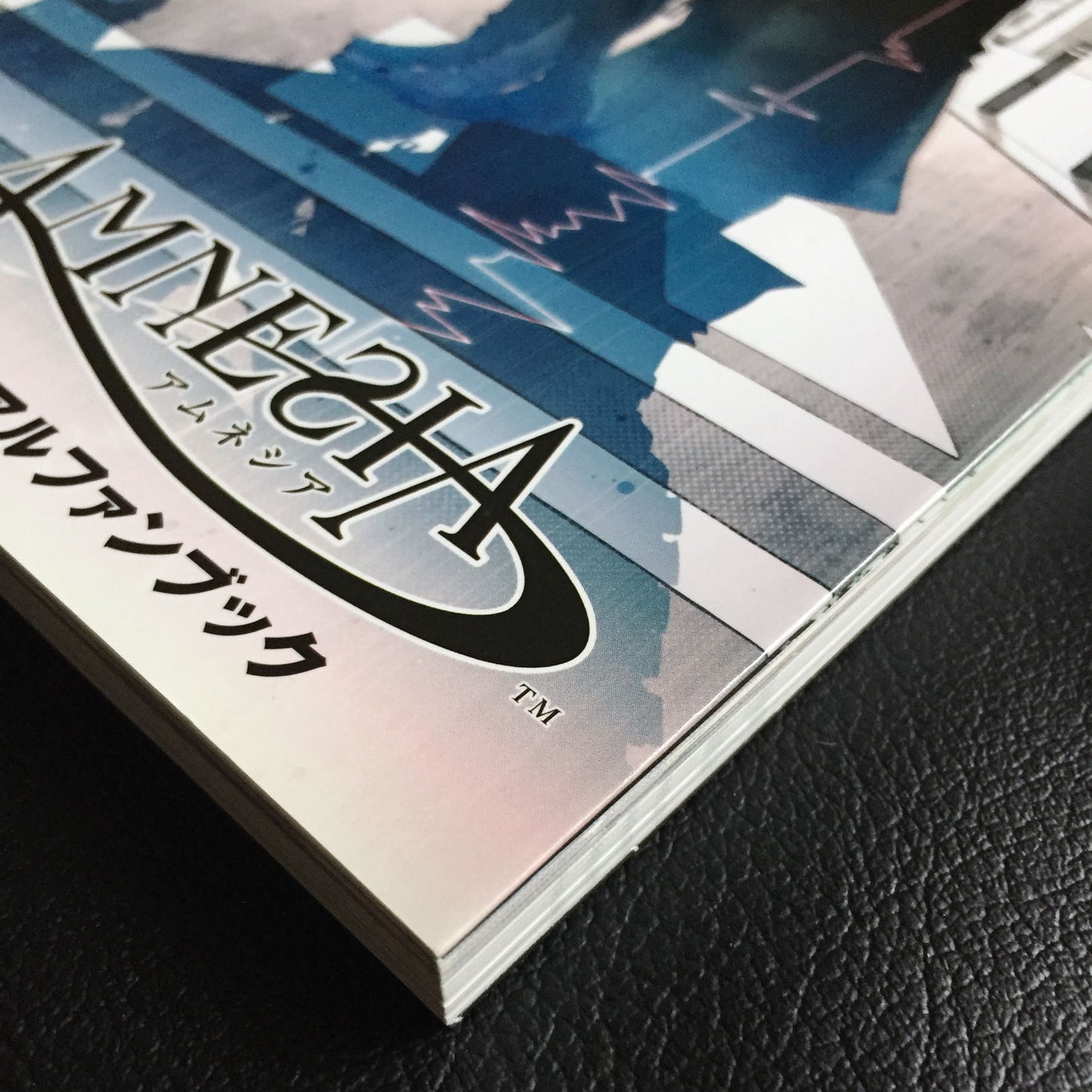 Amnesia Official Visual Fan Book