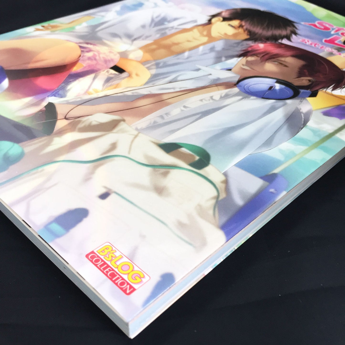 STORM LOVER NatsuKoi!! Official Visual Fan Book