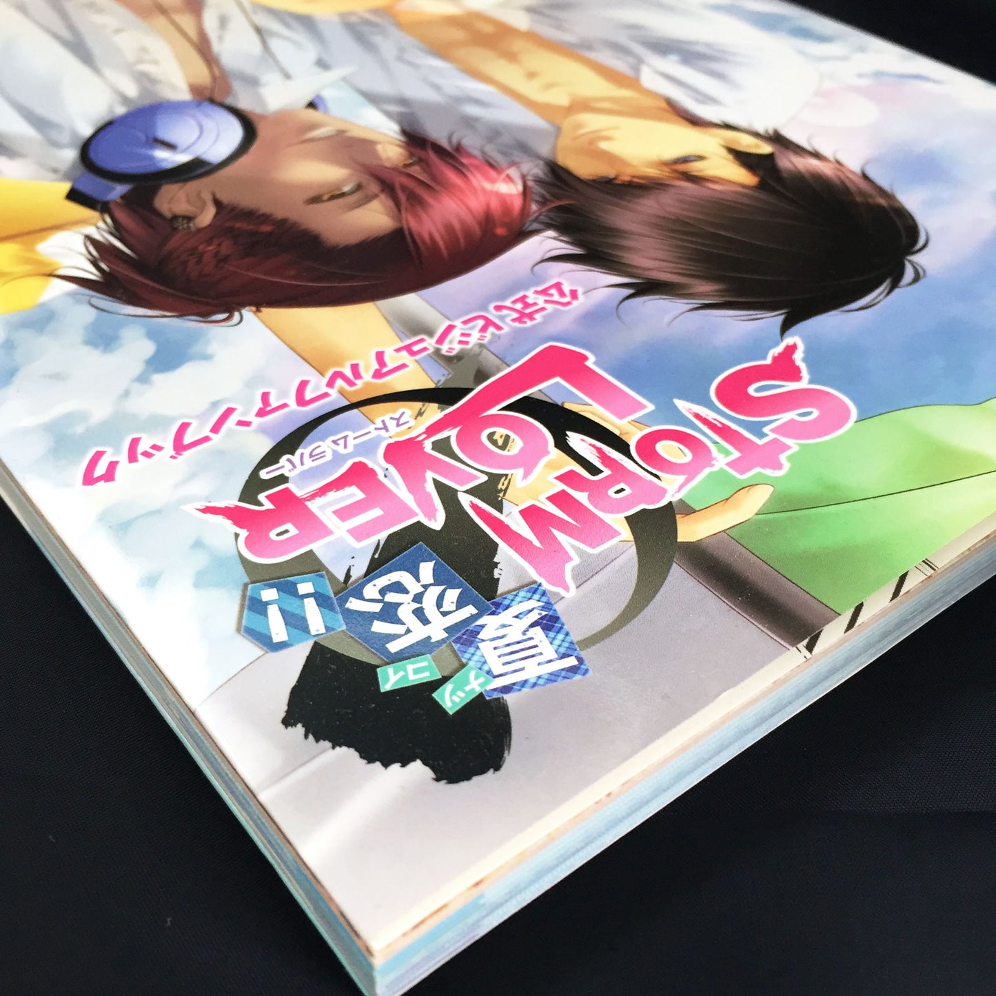 STORM LOVER NatsuKoi!! Official Visual Fan Book