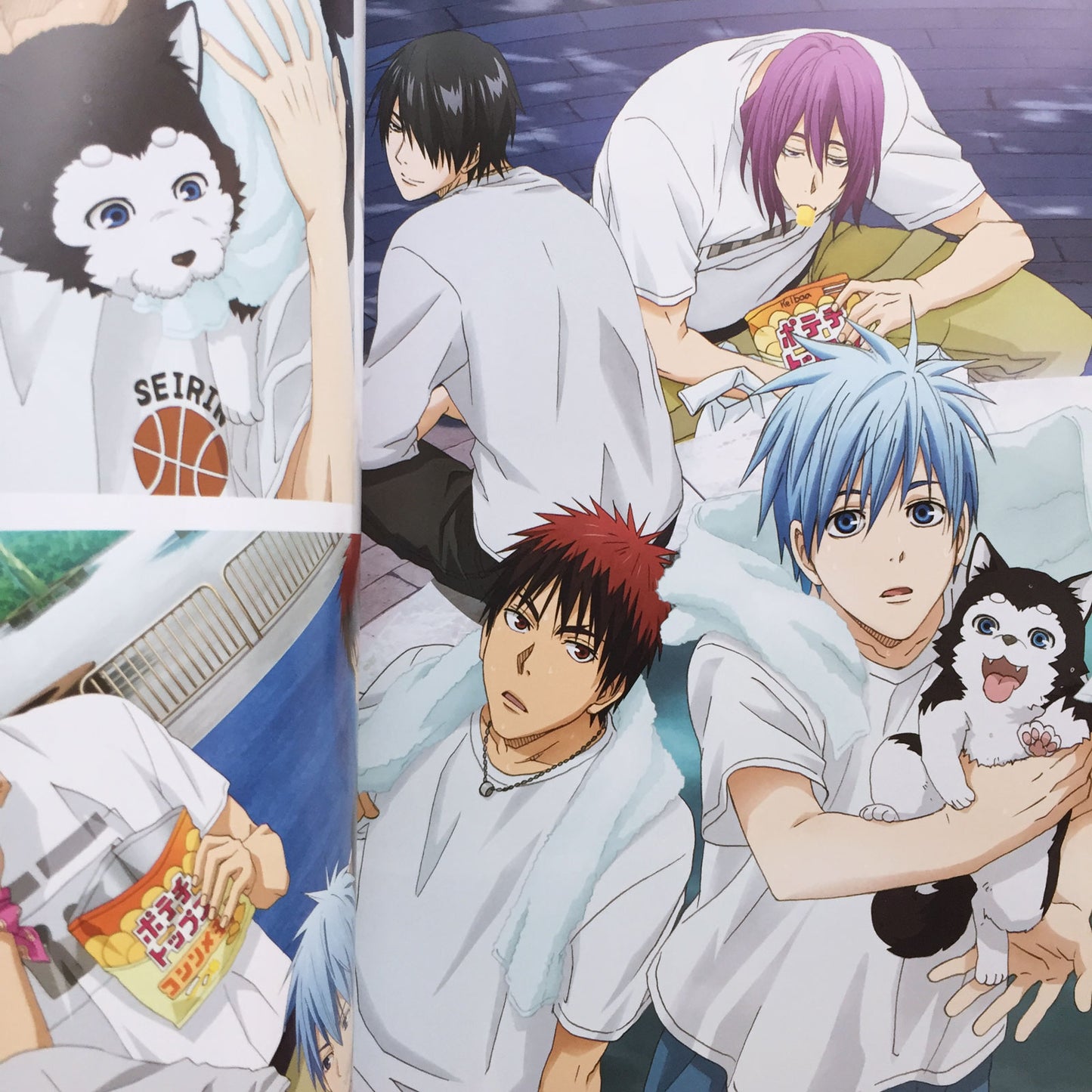 Kuroko's Basketball TV Anime Illustrations COLORFUL MEMORIES